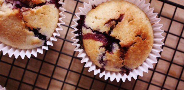 blueberry and chocolate chip muffins