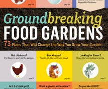 storey books giveaway